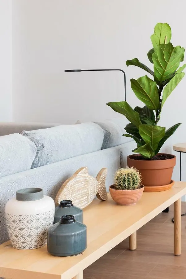 Petit Luxe L'Atic Apartment Terrassa